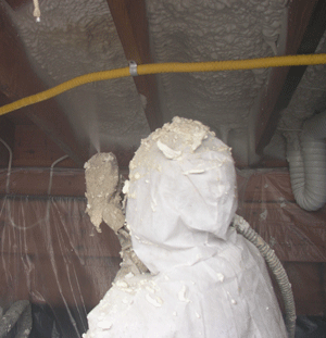  TN crawl space insulation